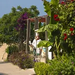 Terrace Side