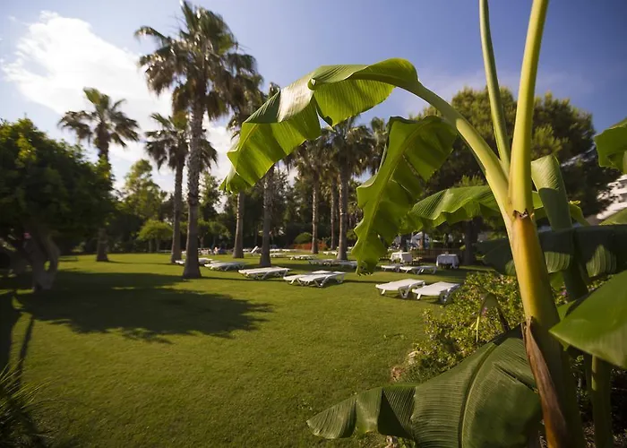 Курортный комплекс Terrace 5*